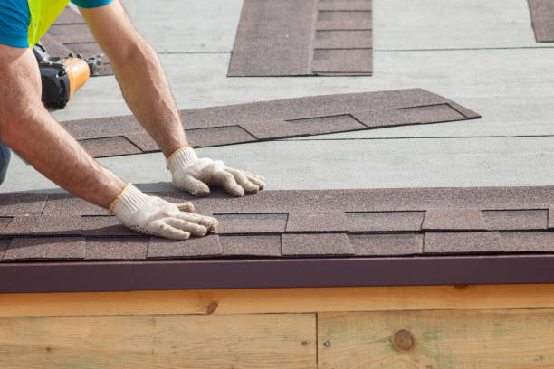 Best Roof Moss and Algae Removal  in Port St John, FL